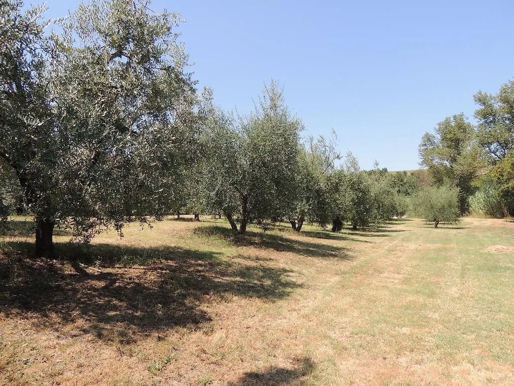Podere Il Mulino Pieve di Santa Luce 0*,
