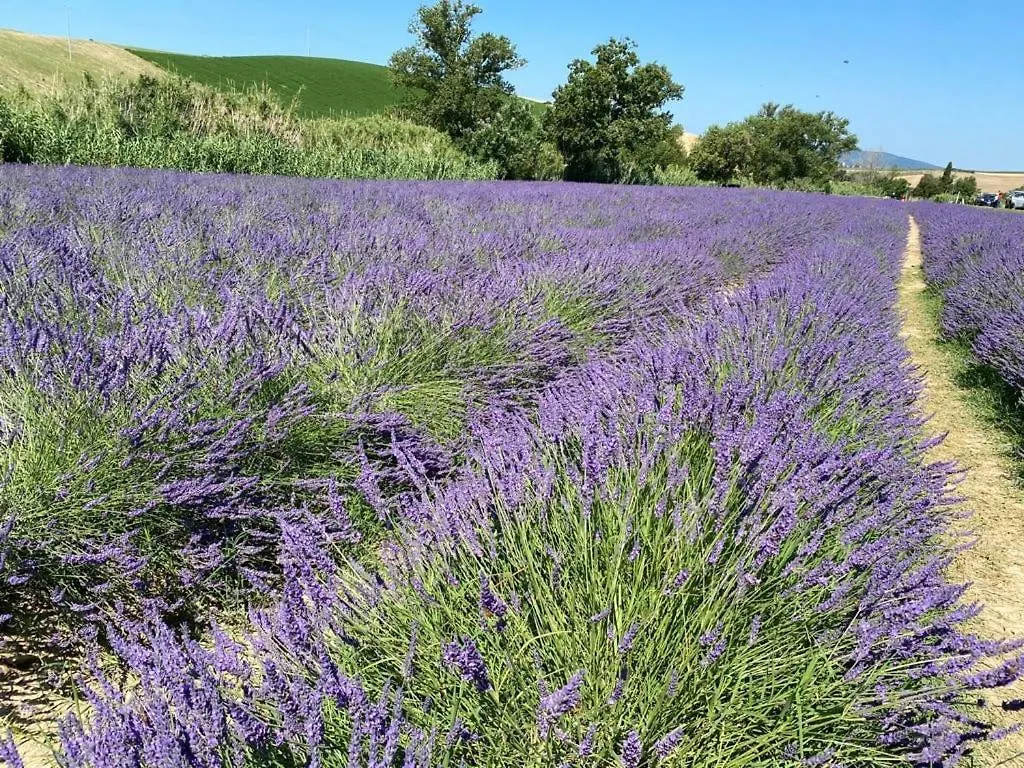 Podere Il Mulino Pieve di Santa Luce