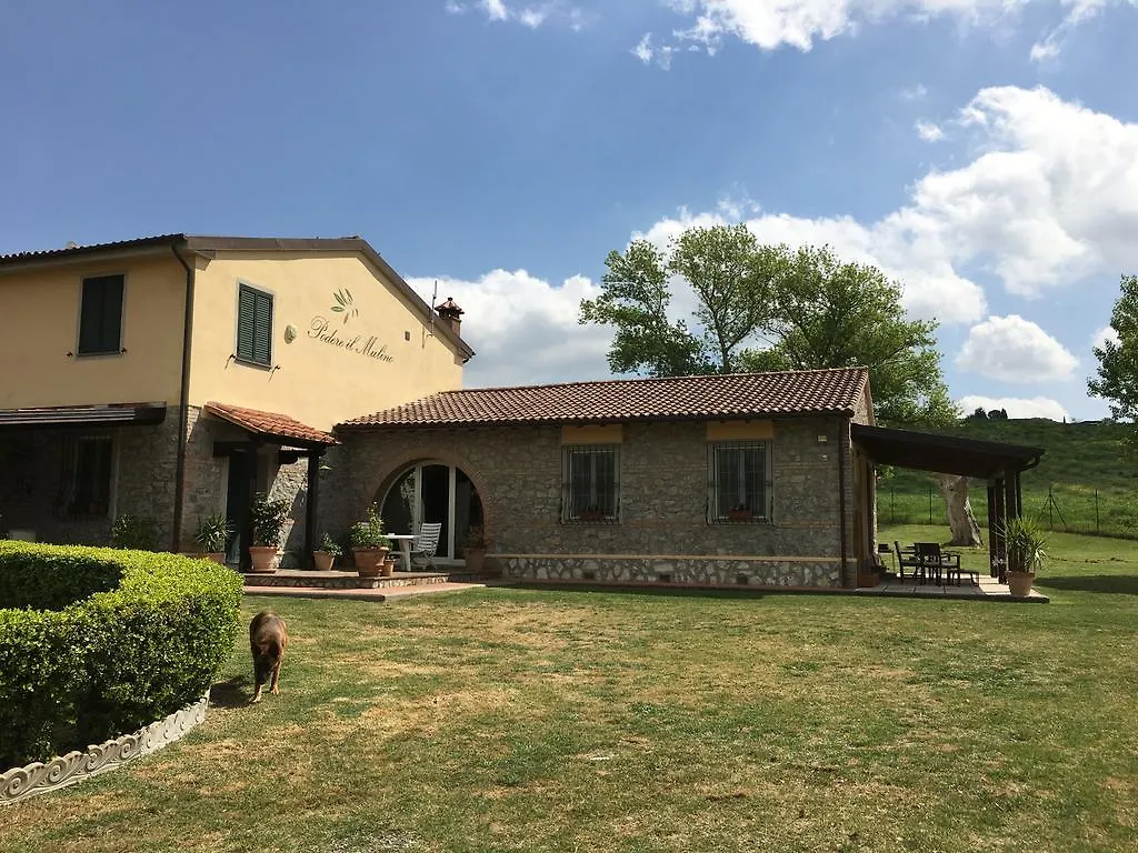 Podere Il Mulino Pieve di Santa Luce Bed and Breakfast