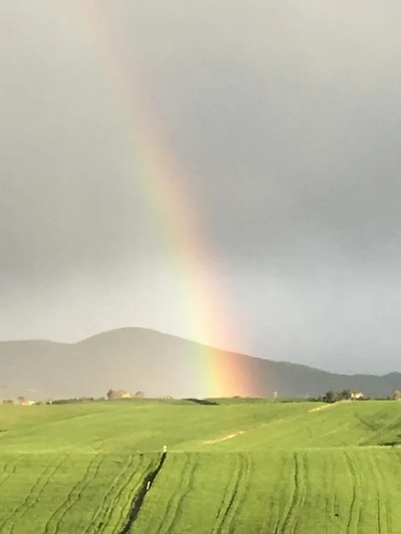 Podere Il Mulino Pieve di Santa Luce